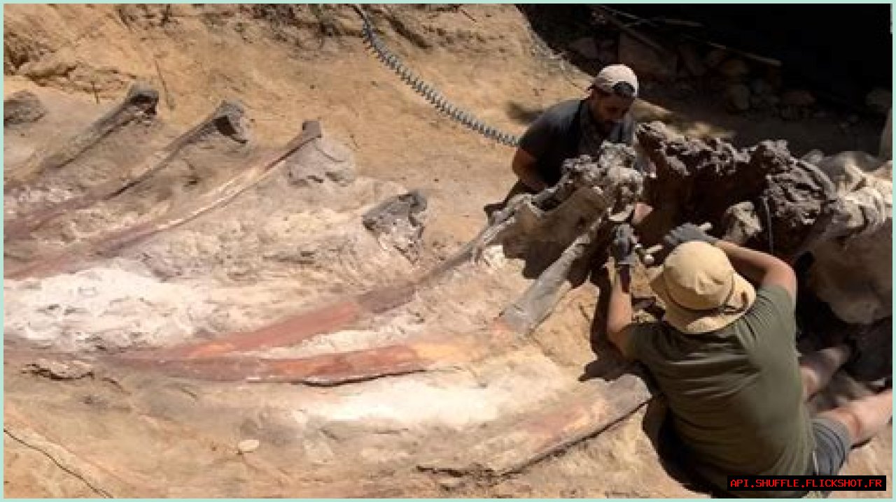 Digging Deep Into The Abby Berner Leaks: Uncovering Secrets And Consequences