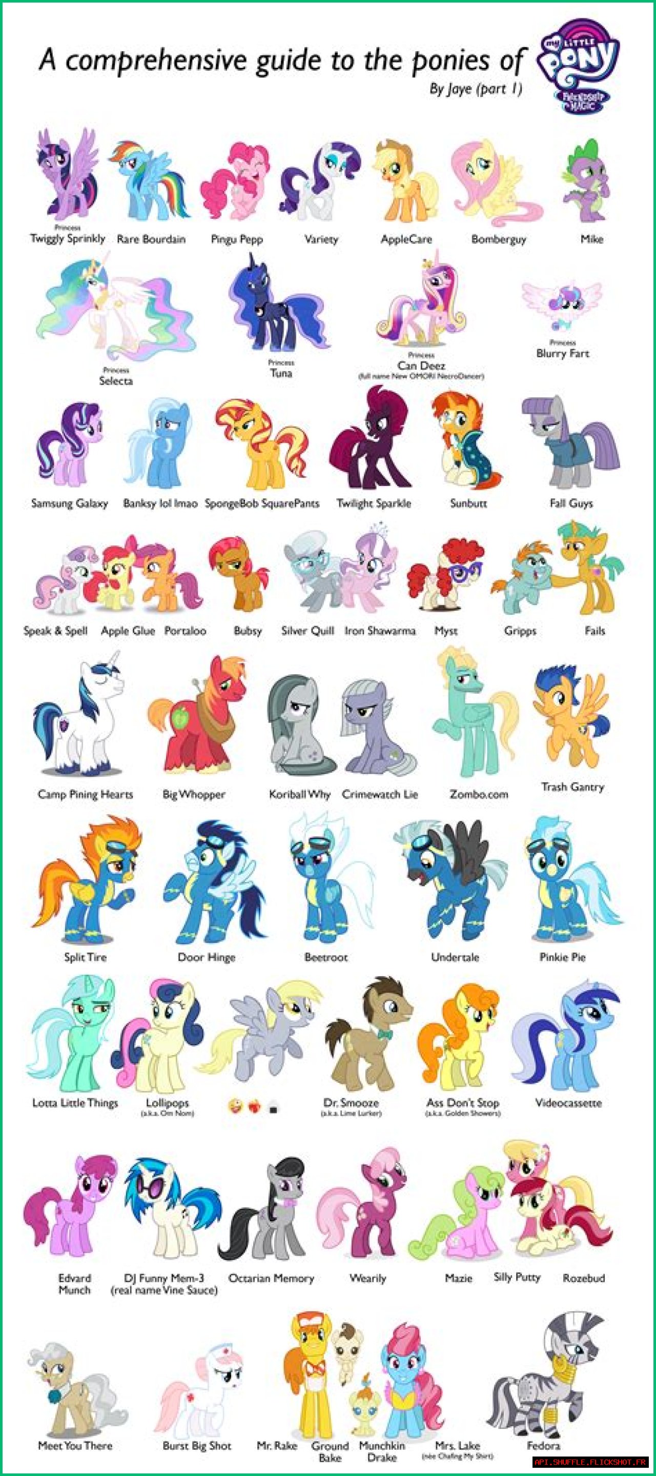 How Old Is Rollie? A Comprehensive Guide