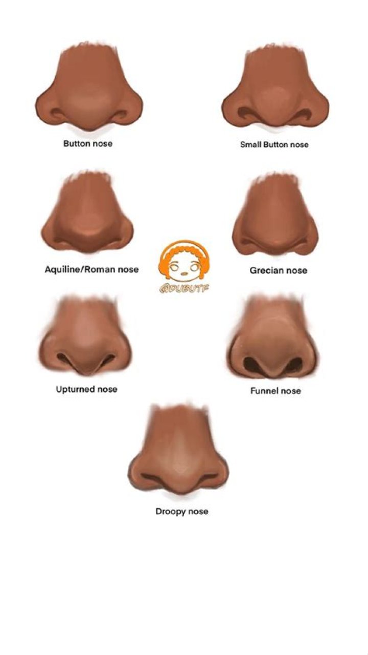 A Journey Through Chart Nose Types