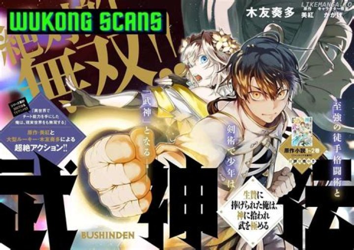 A Master Of Martial Arts