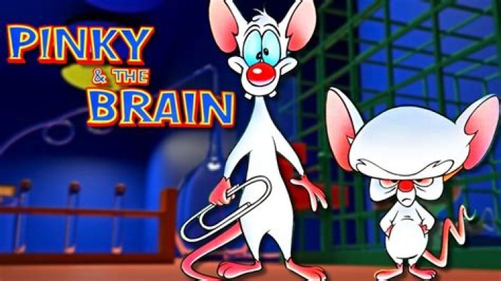 Discover The Wisdom Of Pinky And The Brain