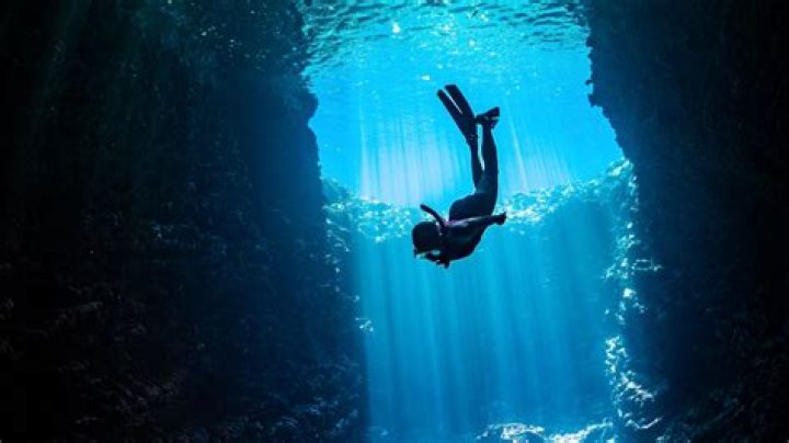 Dive Into Her Wiki For Unforgettable Discoveries