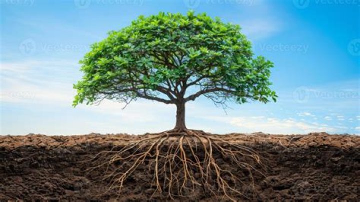 Exploring The Deep Roots Of His Beliefs