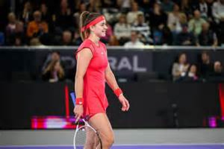 Karolina Muchova - VoxVibe