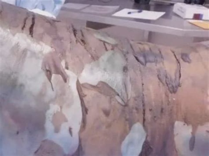 Khalil Azad Autopsy Photos, Robbinsdale Man Killed By Police Case Details And Bio