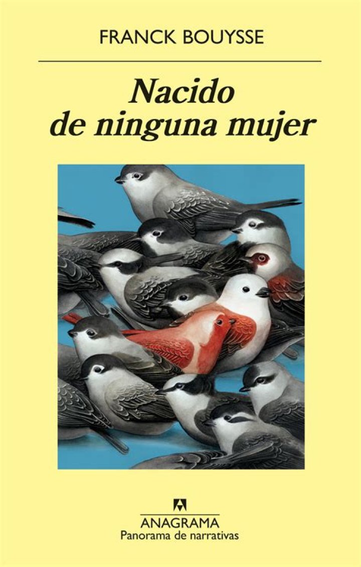 Ninguna Mujer Letras - Ninguna Mujer Traducciones