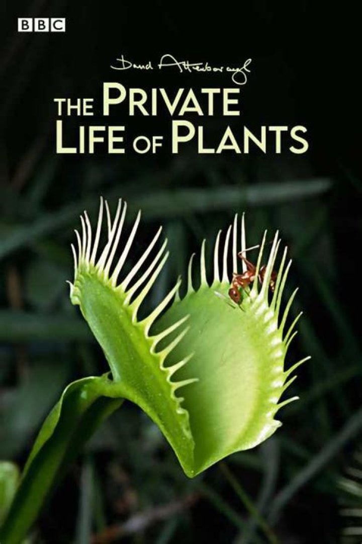 Uncovering The Private Life Of Jia Tolentino: Exclusive Insights And Discoveries