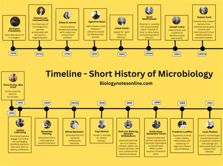 Unlocking Michael Bolo Bolware's Age: Discoveries And Insights