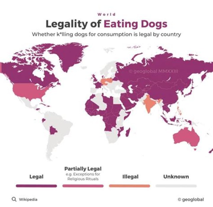 Unveiling The Legality Of Doxbin: Uncover Surprising Insights