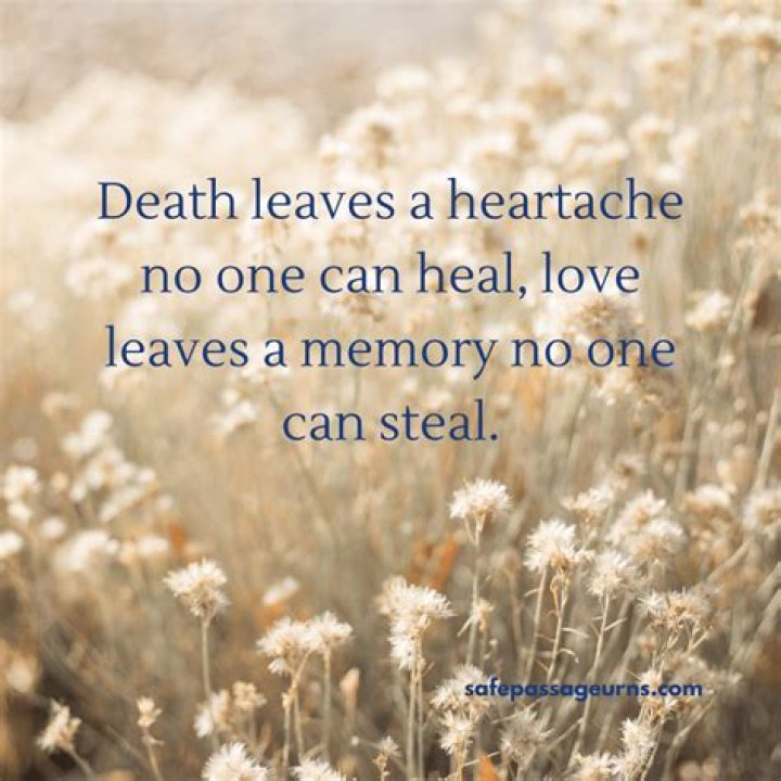 Unveiling The Power Of "Gone Too Soon" Quotes: Comfort, Remembrance, And Insight