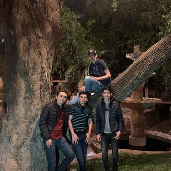 Unveiling The Secrets Of The "Peso Pluma Family": Discoveries And Insights