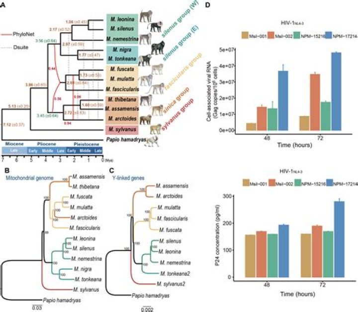 Yoko Ono: Uncovering The Enigmatic Visionary